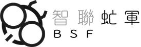Connect+ BSF logo