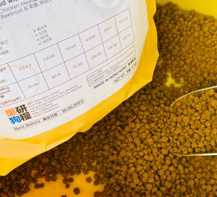 Pet food pellets before packaging